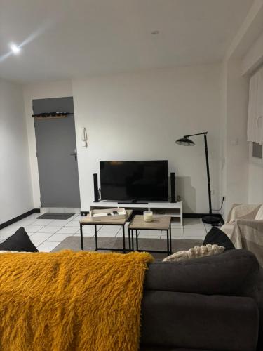 TV a/nebo společenská místnost v ubytování Les Pierres de Rinaldi