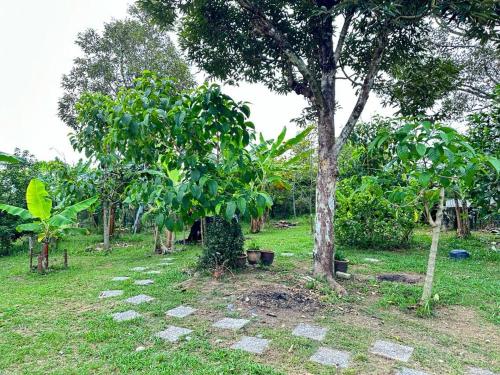 En have udenfor Indah Desa Homestay