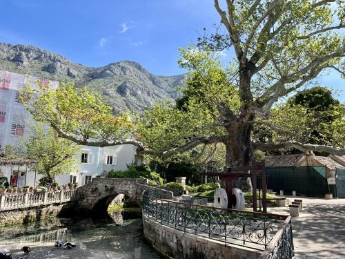 een groep eenden die in een rivier met een brug zwemmen bij Apartment LaVilla in Mlini