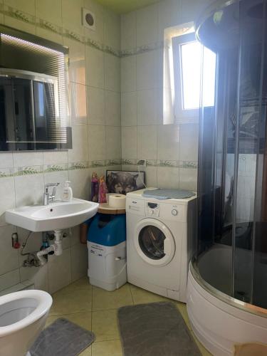 a bathroom with a washing machine and a sink at Przy Szlaku in Cisna