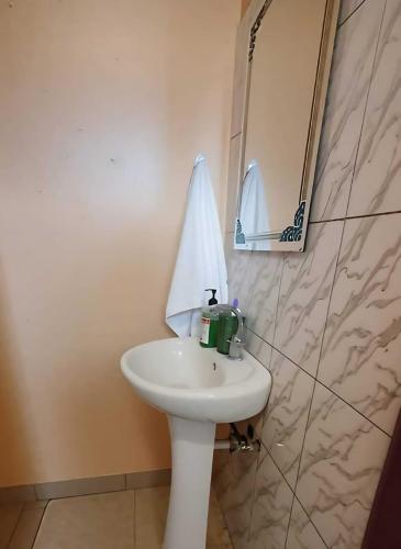 a bathroom with a sink with a sail on the wall at Serenity Homes in Kampala