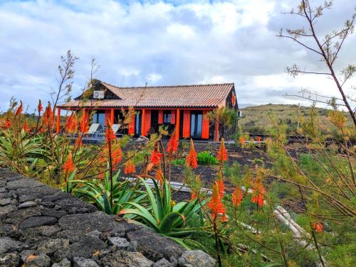 a house in the middle of a field with flowers at Casa Baleia Laranja Ocean-Front in Madalena