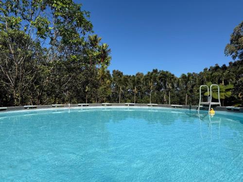 Royal Palm Cottage Hawaii في Hakalau: مسبح كبير من الماء الأزرق مع ملعب