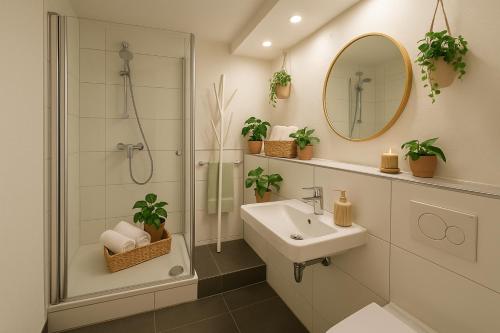 a bathroom with a shower and a sink and a mirror at Altstadt Apt near Cathedral - free parking from January in Augsburg