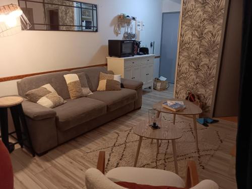 Appt pied des pistes