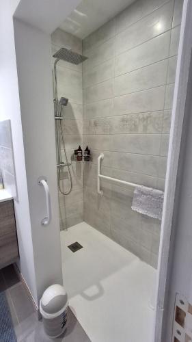 ein Badezimmer mit Dusche und Toilette in der Unterkunft Maison de vacances 6 personnes in Saint-Hilaire-de-Riez