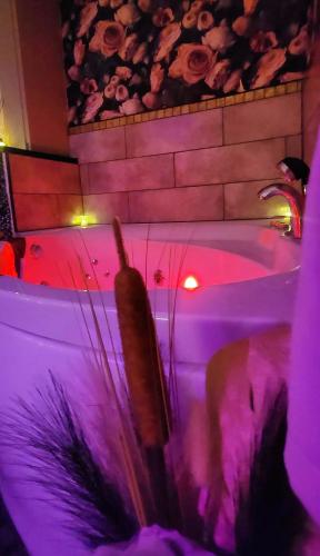 a carrot sitting in a bath tub with purple lights at L'atelier des rêves, balnéo, lit rond, centre-ville in Lunéville