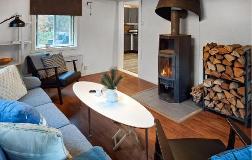 a living room with a couch and a wood stove at 3 Bedroom Amazing Home In Hallaröd in Hallaröd