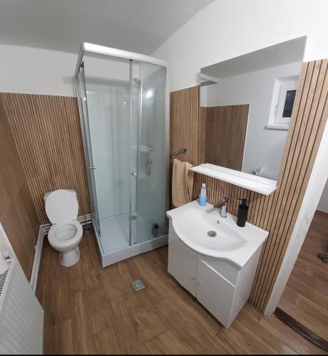 a bathroom with a shower and a sink and a toilet at Cabana Lunca in Lunca Ampoiţei
