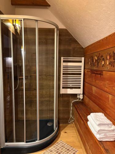 a shower in a room with wooden walls at Hriady in Wetlina