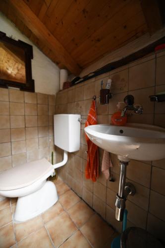 a bathroom with a toilet and a sink at Rustic on the Verzasca River in Corippo