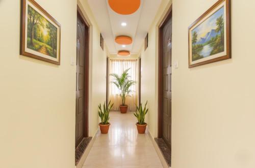 a hallway with potted plants and paintings on the walls at Via Shanel Beachside Resort - Tito's lane, Baga Beach in Baga