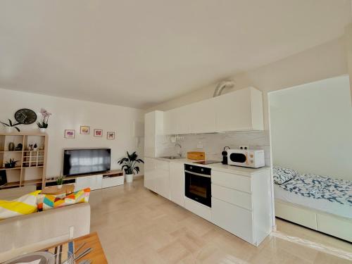 Cozy 1 bedroom apartment Antibes Juan-les-Pins - walk to beaches, restaurants, old town