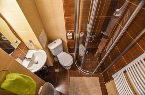 a small bathroom with a toilet and a shower at Bansko Royal Towers Apartments - Gondola View in Bansko