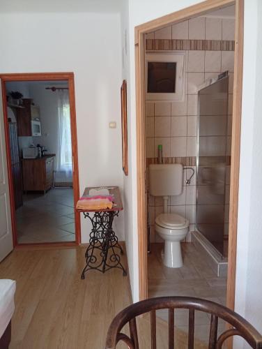 a bathroom with a toilet and a walk in shower at Hagyományőrző és múltidéző porta in Báta