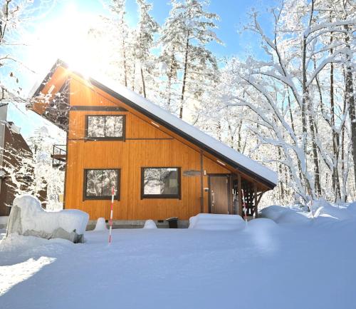 Hakuba Snow Rabbit