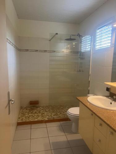 a bathroom with a shower and a toilet and a sink at La villa Yuna in Le Vauclin