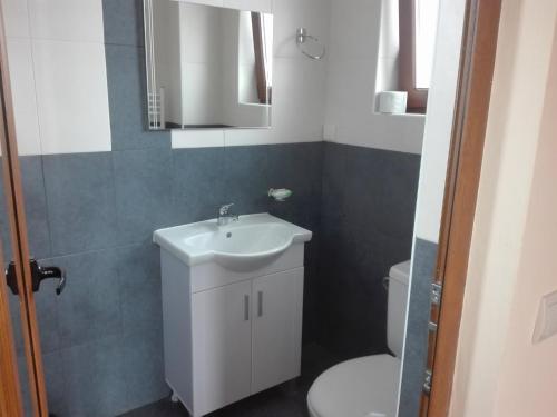 un bagno con un lavandino bianco e un water di Vila Panorama a Izgrev