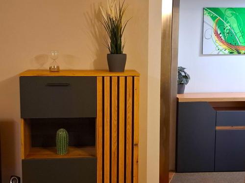 ein Holzschrank mit einer Pflanze darüber in der Unterkunft Gemütliches Apartment in Giengen an der Brenz