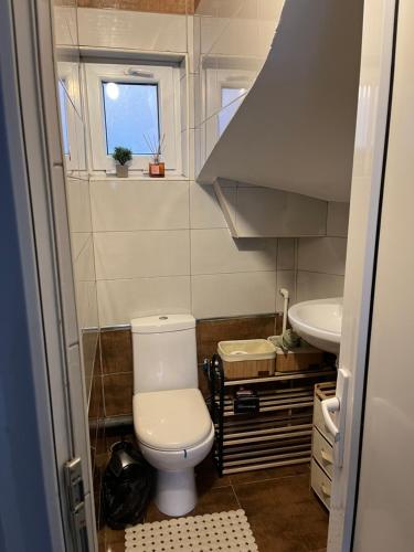 a small bathroom with a toilet and a sink at Apartman Centar Strpce in Štrpce