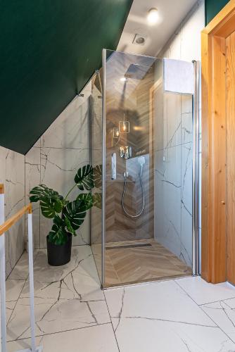 a shower in a bathroom with a potted plant at Osada Witów - apartament „Czerwone Wierchy” in Witów