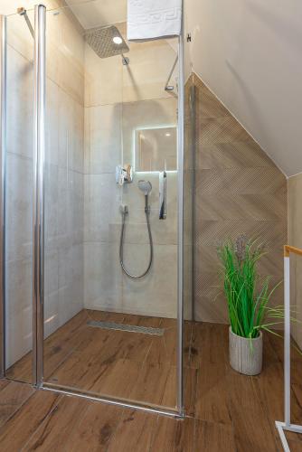 a shower with a glass door in a bathroom at Osada Witów - apartament „Niebieska Turnia” in Witów
