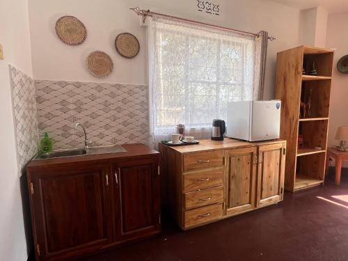 John's Place في أروشا: مطبخ مع حوض وميكروويف