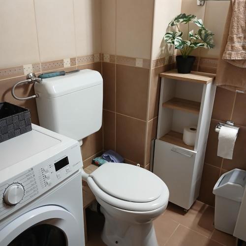 a small bathroom with a toilet and a washing machine at Apartman Montis in Kupres
