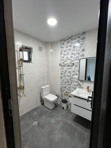 a bathroom with a toilet and a sink and a mirror at Villa Marhaba in Borjomi