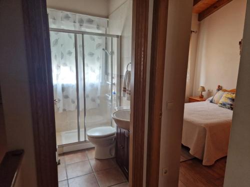 un letto e un bagno con doccia e servizi igienici. di Encanto Rural ad Arnedillo