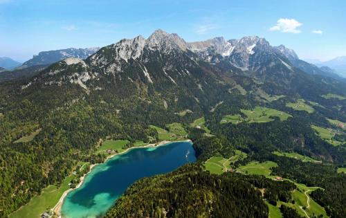 Природа в окрестностях апартаментов/квартиры