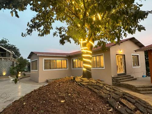 Nirvana Bhimashankar Jungle Resort في بهيماشانكار: شجرة عليها انوار امام البيت