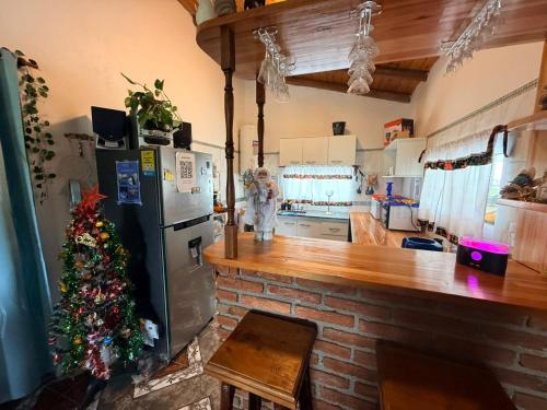 Kuchyň nebo kuchyňský kout v ubytování Casa de Campo Tito