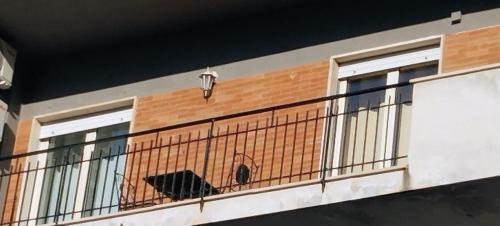 a dog sitting on a balcony of a building at Mira Beach in Praia a Mare
