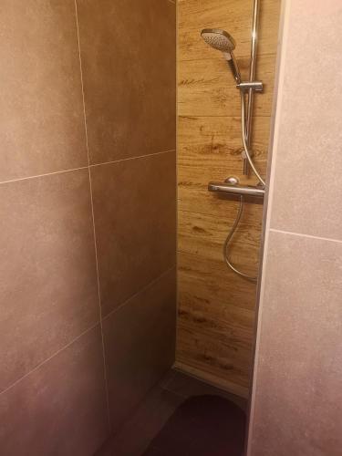 a shower stall with a shower head in a bathroom at Ruhiges Ferienhaus mit viel Platz und Ladestation für E-Auto in Masserberg