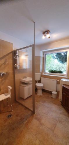 een badkamer met toilet, wastafel en raam bij Schau ins Land 2 in Elbingerode