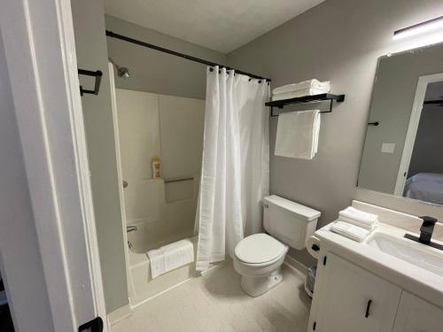a bathroom with a toilet and a shower and a sink at Azalea: 2 primary bedrooms w/ bathrooms in Augusta