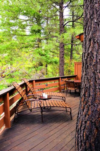 Fotografie z fotogalerie ubytování Junipine Resort v destinaci Sedona