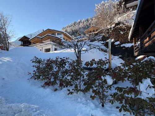 Το Mazot Agora Suite - Pop-Up Gallery Experience Suite τον χειμώνα