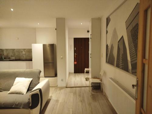 City Center Apartment 45m, 100m from RYNEK and Wisła River 1 Bedroom and 1 Living Room with Kitchen plus Bathroom, a perfect Family Friendly Place or for Home Office and a longer Stay, a proper office desk with business chair provided,