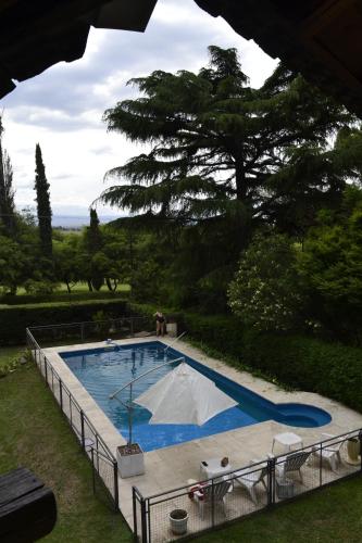 ein großer Pool in einem Garten mit einem Baum in der Unterkunft Posada La Lucía in Villa General Belgrano