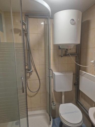 a bathroom with a shower and a toilet and a sink at Vila Paula & SPA -ALL INCLUSIVE in Sovata