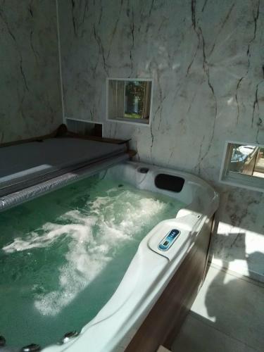 a bath tub with green water in a room at Rózsapark Vendégház in Demjén