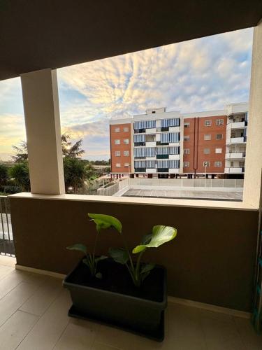 Suite 20cinque photo 52
