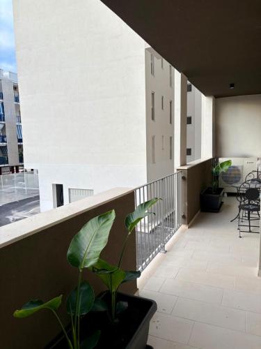 Suite 20cinque photo 40