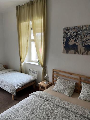a bedroom with two beds and a window at Apartmán Ekonomy in Spělkov