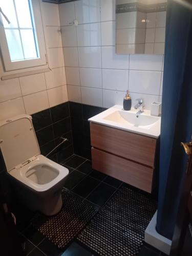 a bathroom with a toilet and a sink at Meteora best view villa in Kalabaka