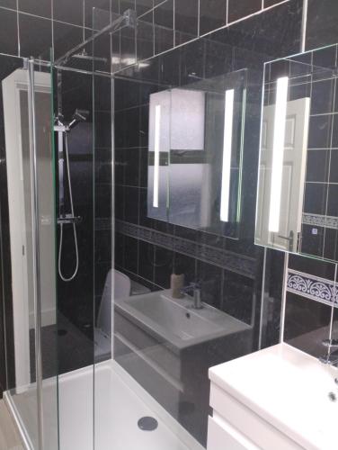 a bathroom with a glass shower and a sink at Caminetto in Croydon