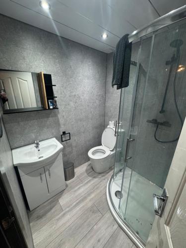 Un baño con inodoro, lavabo y ducha. en Reads Avenue - Luxury Ground Floor Studio - Next Door to H&A Social Club, en Blackpool