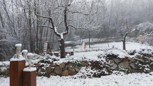 CserépváraljaにあるFaluvégi Vendégházの木と茂みのある雪に覆われた庭